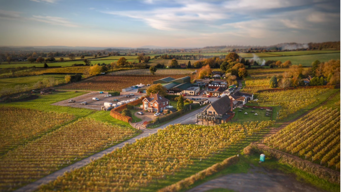 Halfpenny Green Wine Estate vineyard and estate