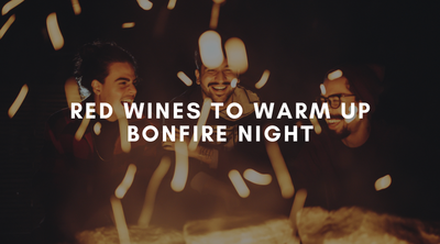 Red Wines to Warm Up Bonfire Night