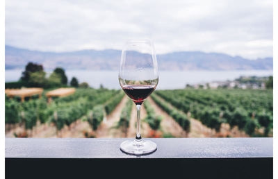10 Organic Wines To Taste on National Drink Wine Day