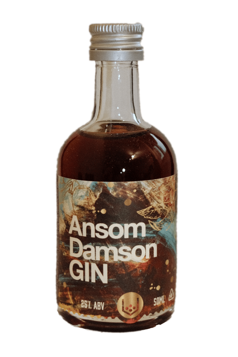 Ansom Damson Gin Miniature 5cl