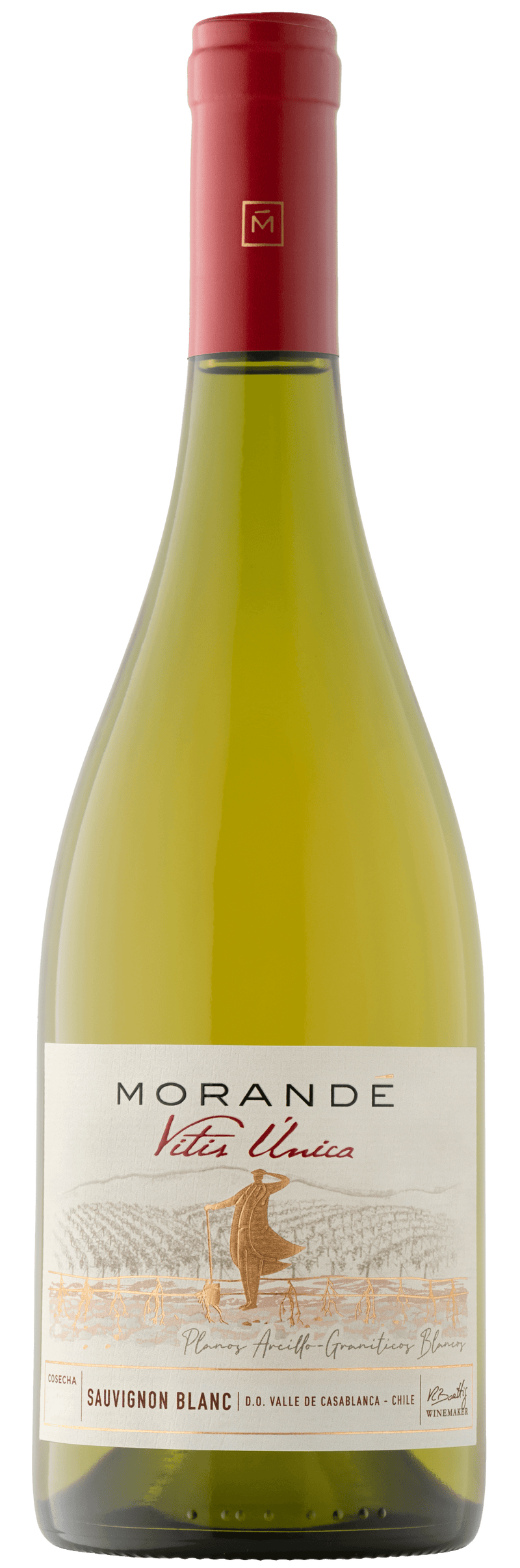 Vina Morande Gran Reserva Sauvignon Blanc 2021 75cl